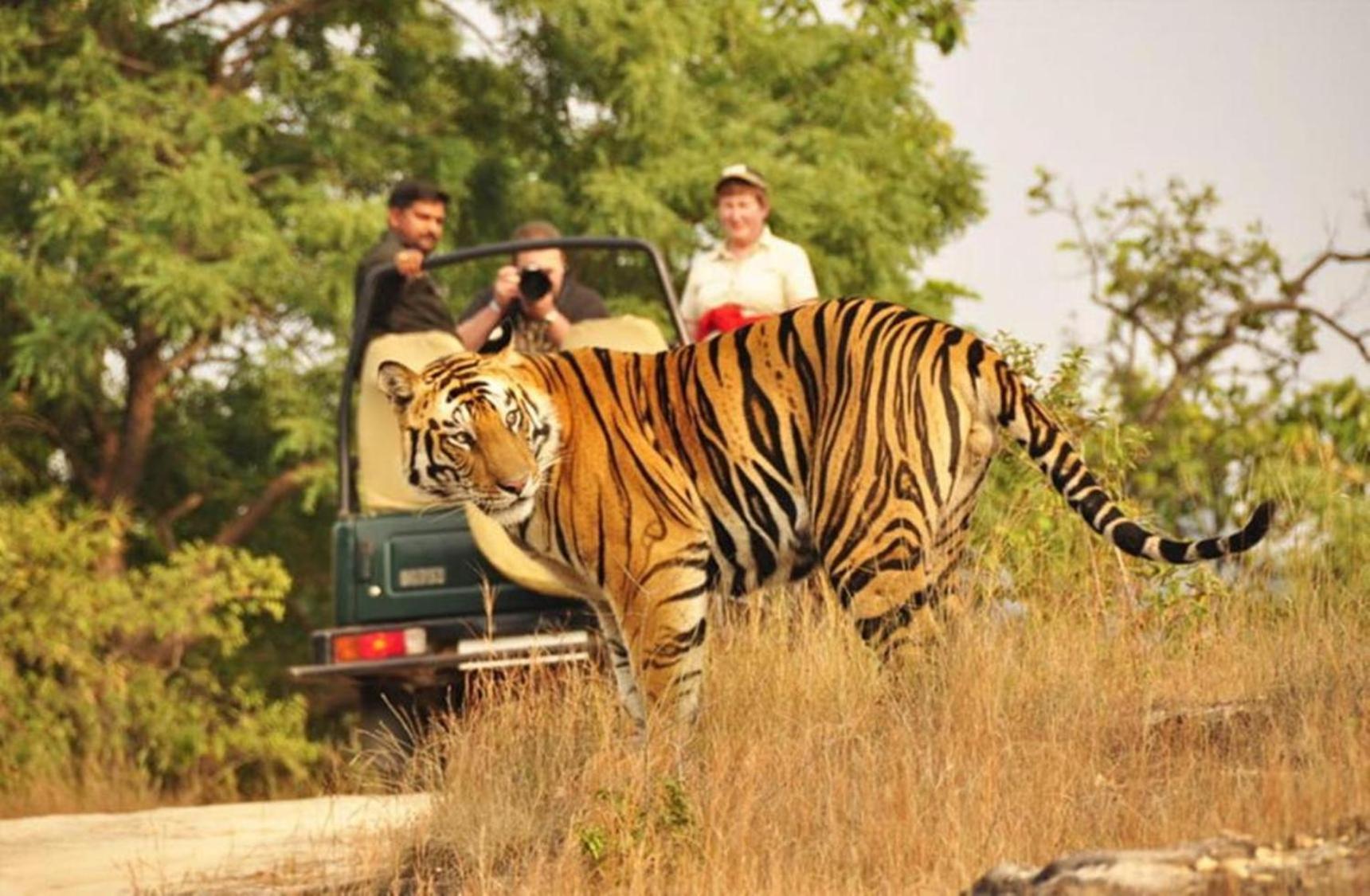 Hotel The Vanashrya Ranthambore Khilchīpur Esterno foto